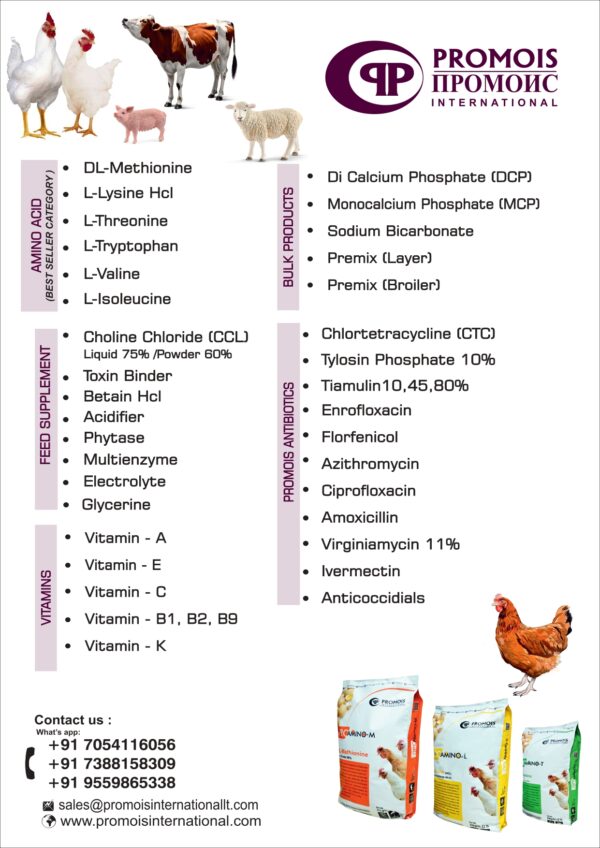 promois new (1)_page-0001